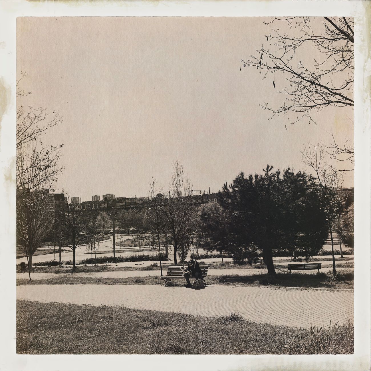 Analogna fotografija